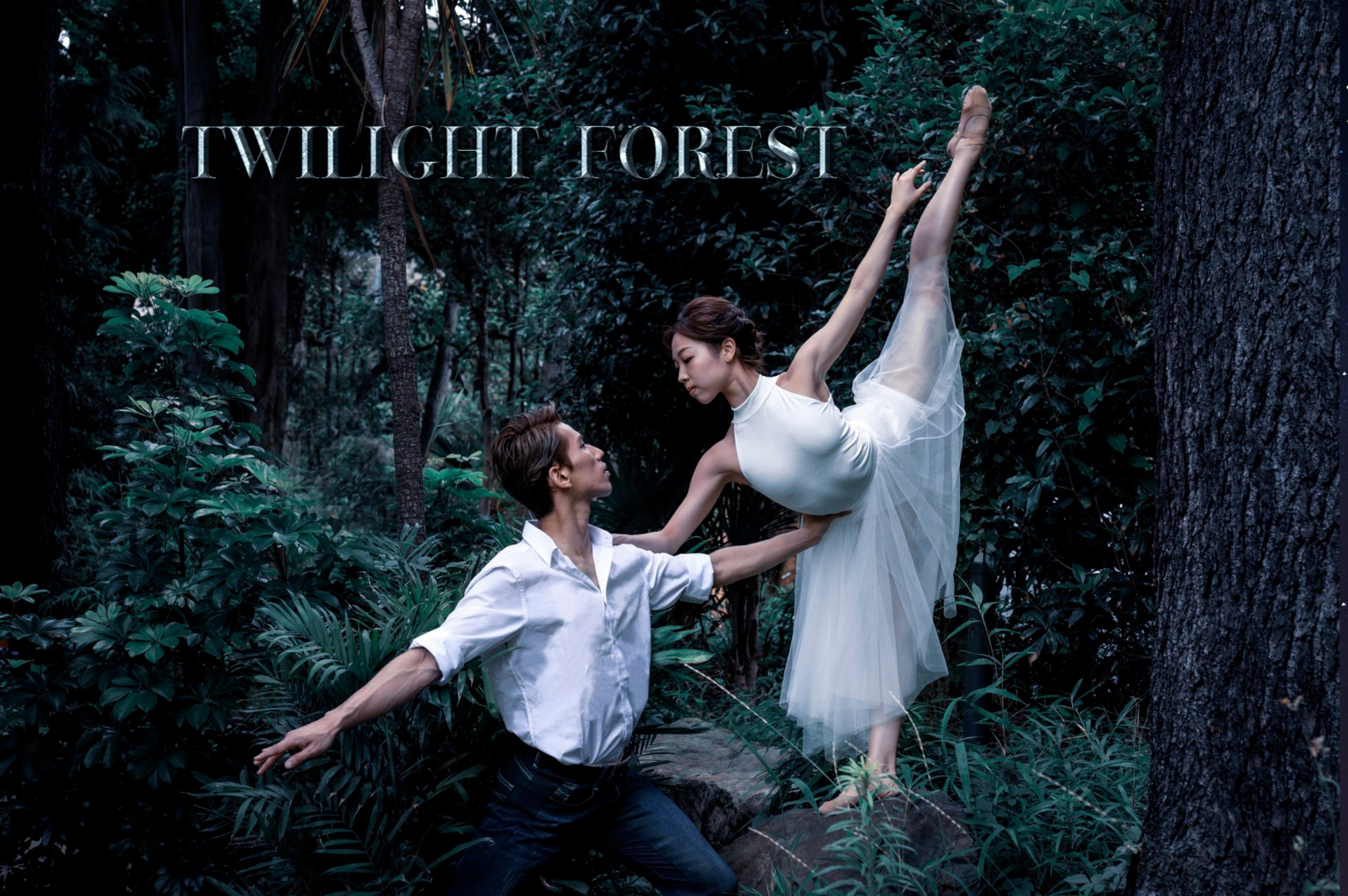 TWILIGHT FOREST