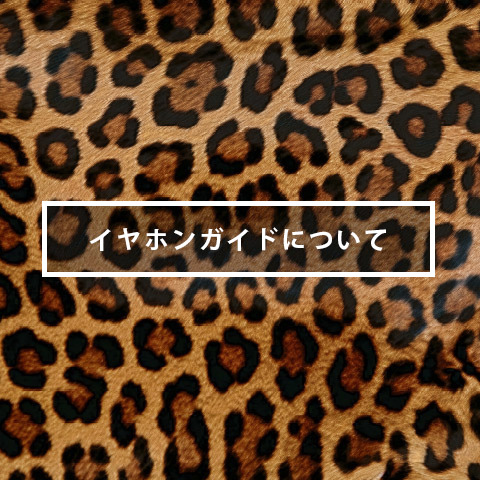 イヤホンガイドについて