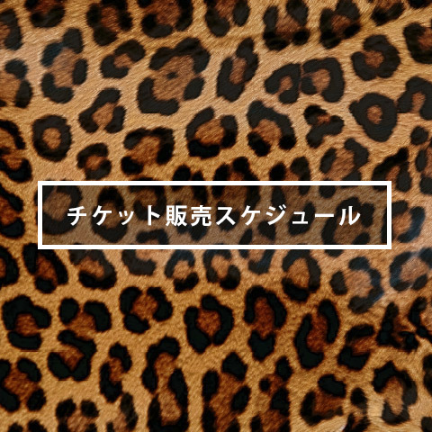 チケット販売スケジュールについて